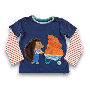 Mini Baby Boden Long Sleeve Applique Shirt Fall Hedgehog Pumpkin Patch Farm 2-3Y